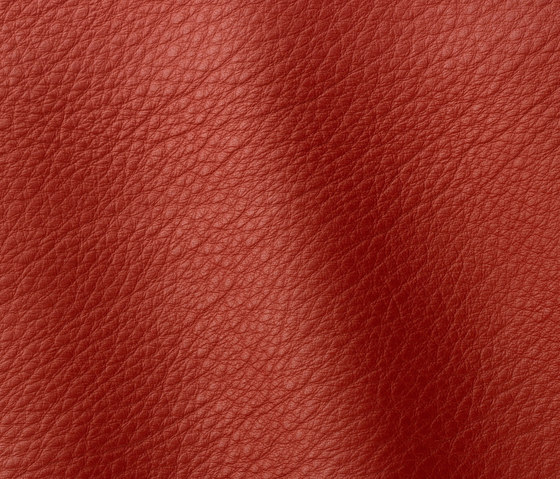Otis 5003 red star | Natural leather | Gruppo Mastrotto