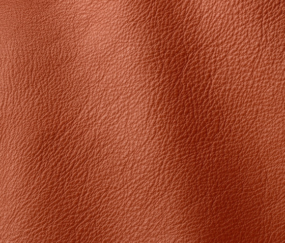 Prescott 299 henna | Natural leather | Gruppo Mastrotto