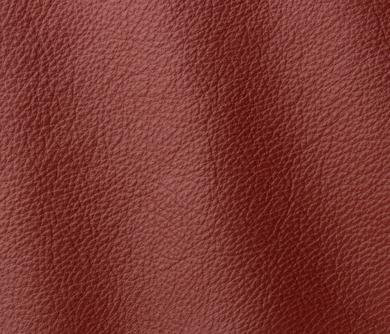 Prescott 232 antique | Natural leather | Gruppo Mastrotto