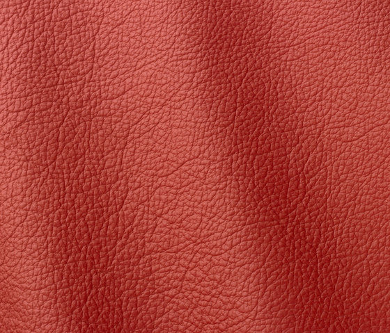 Ocean 418 rosso ferrari | Natural leather | Gruppo Mastrotto