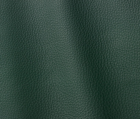 Vogue 6023 loden | Natural leather | Gruppo Mastrotto