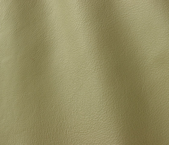 Roma 912 lind | Natural leather | Gruppo Mastrotto