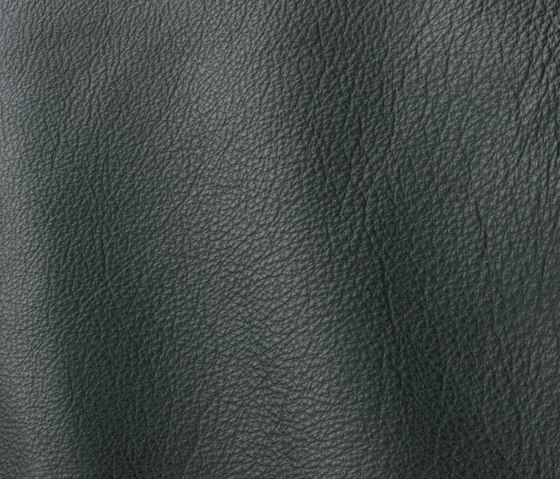 Roma 902 ever green | Natural leather | Gruppo Mastrotto
