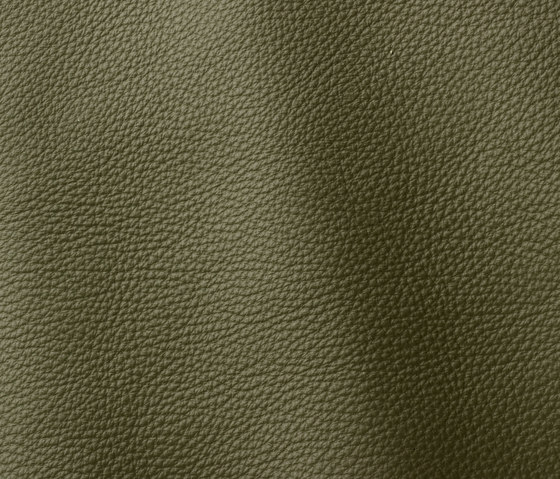 Prescott 257 camouflage | Natural leather | Gruppo Mastrotto