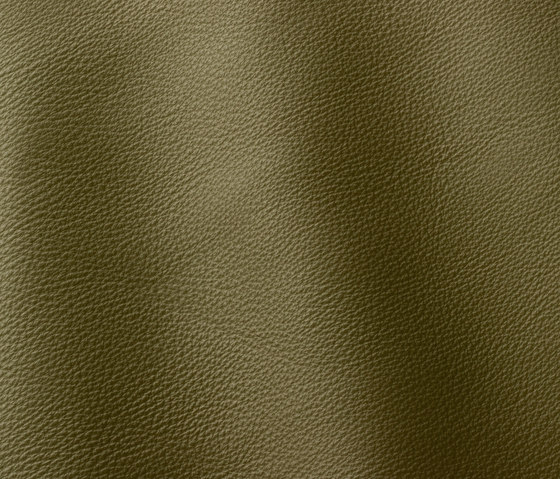 Prescott 256 aloe | Natural leather | Gruppo Mastrotto