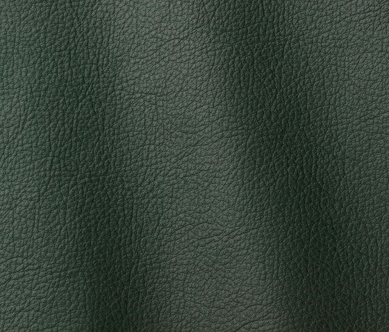 Ocean 425 green | Natural leather | Gruppo Mastrotto