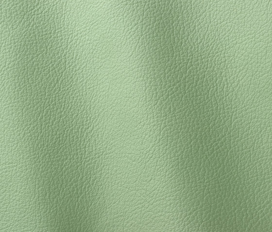 Ocean 445 emerald | Cuero natural | Gruppo Mastrotto