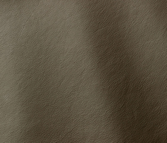 Linea 632 verdone | Natural leather | Gruppo Mastrotto