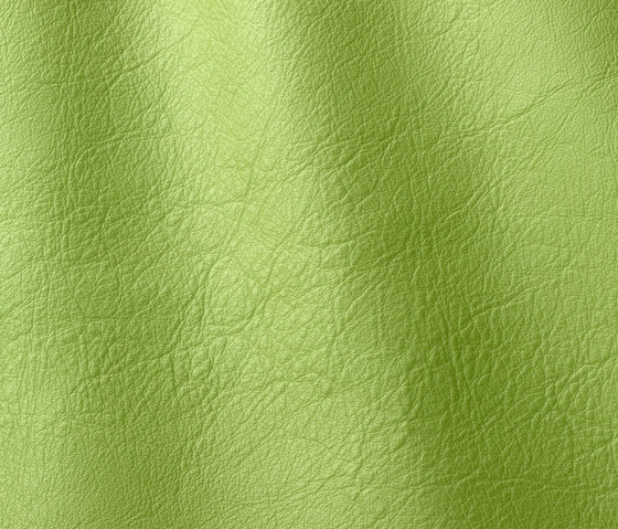 Linea 621 verde | Natural leather | Gruppo Mastrotto