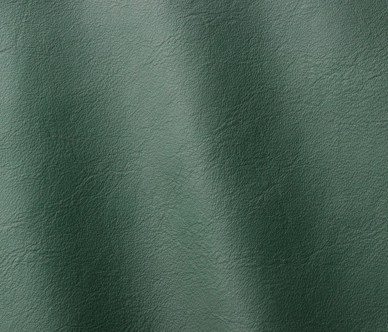 Linea 653 pino | Natural leather | Gruppo Mastrotto
