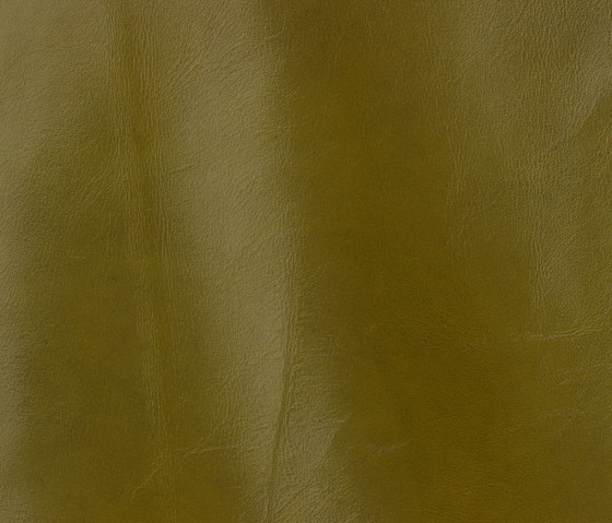 Classic 812 green | Natural leather | Gruppo Mastrotto