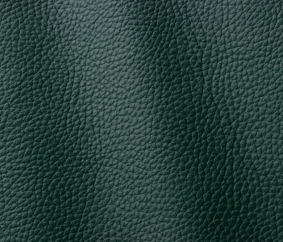 Atlantic 520 verde | Natural leather | Gruppo Mastrotto
