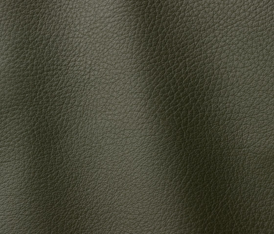 Atlantic 547 musk | Natural leather | Gruppo Mastrotto