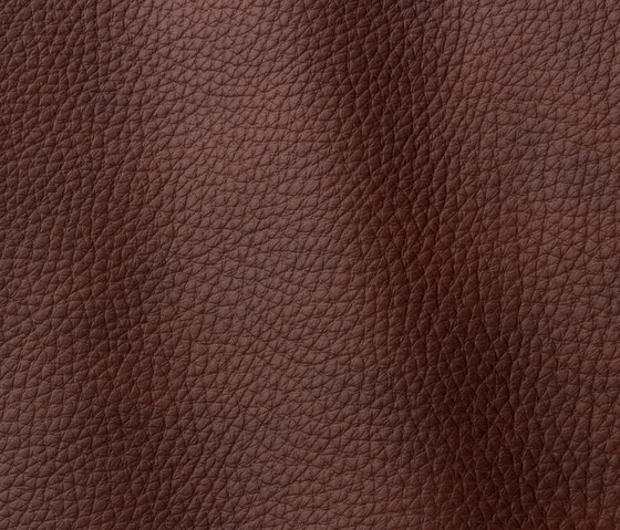 Atlantic 543 plum | Natural leather | Gruppo Mastrotto