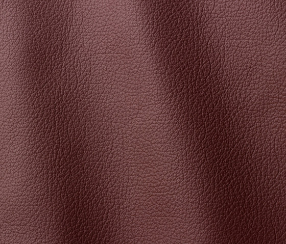 Ocean 419 burgundy | Natural leather | Gruppo Mastrotto