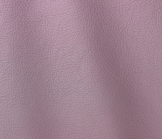 Ocean 449 pansy | Natural leather | Gruppo Mastrotto