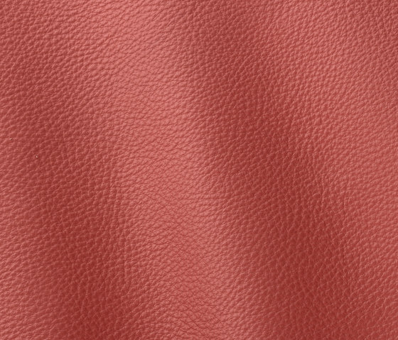 Prescott 239 fond-de-tein | Natural leather | Gruppo Mastrotto