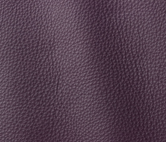 Vogue 6019 grapes | Natural leather | Gruppo Mastrotto