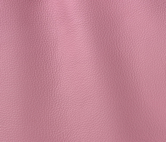 Vogue 6018 lilium | Natural leather | Gruppo Mastrotto