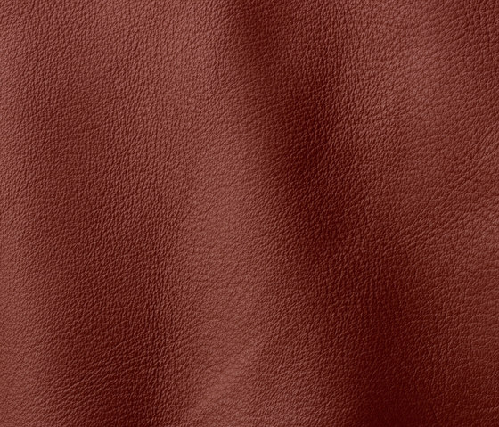 Prescott 241 blood | Natural leather | Gruppo Mastrotto