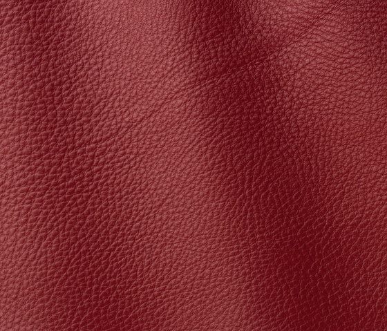 Prescott 288 phonebox | Natural leather | Gruppo Mastrotto