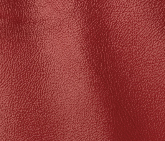 Prescott 248 siam | Natural leather | Gruppo Mastrotto