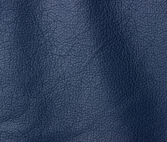 Ocean 441 electric blue | Natural leather | Gruppo Mastrotto
