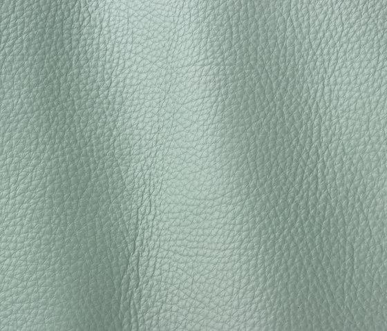 Prescott 264 aqua azul | Natural leather | Gruppo Mastrotto