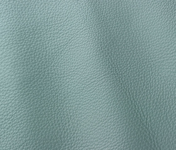 Prescott 265 lichene | Natural leather | Gruppo Mastrotto