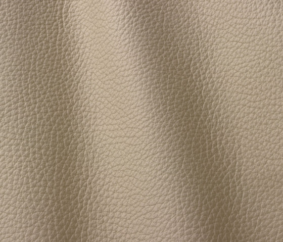 Atlantic 505 grigio | Natural leather | Gruppo Mastrotto