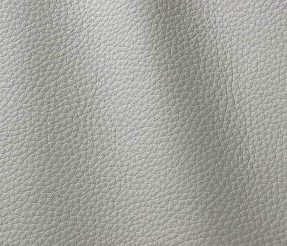 Atlantic 539 pearl grey | Natural leather | Gruppo Mastrotto