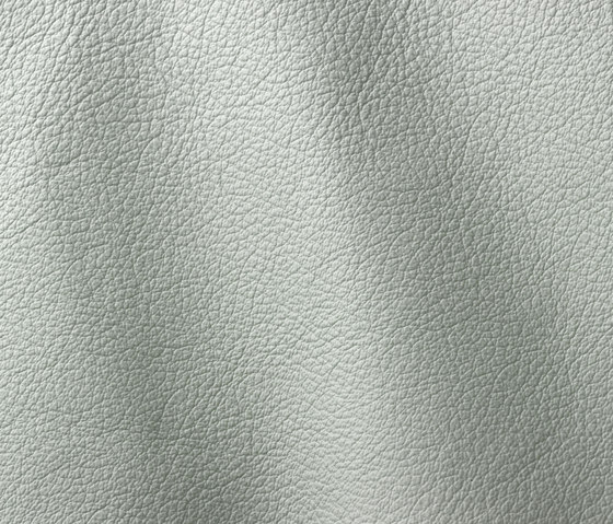 Ocean 438 cloudy | Natural leather | Gruppo Mastrotto