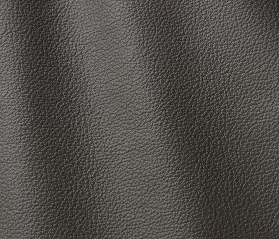 Ocean 424 grey | Natural leather | Gruppo Mastrotto