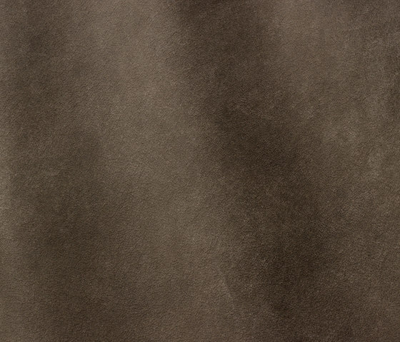 Sequoia 4007 grigio | Cuero natural | Gruppo Mastrotto