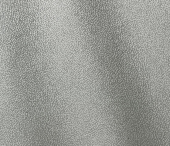 Prescott 203 ciment | Natural leather | Gruppo Mastrotto