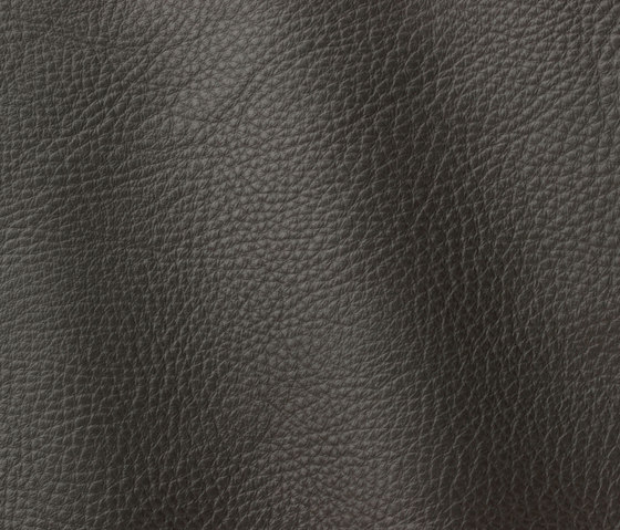 Prescott 211 grayshadow | Natural leather | Gruppo Mastrotto
