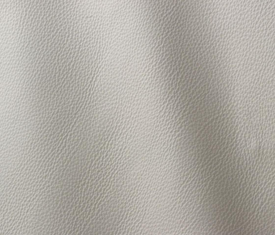 Prescott 202 pearl | Natural leather | Gruppo Mastrotto