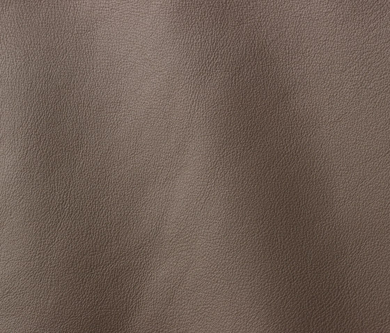 Prescott 304 grey | Natural leather | Gruppo Mastrotto