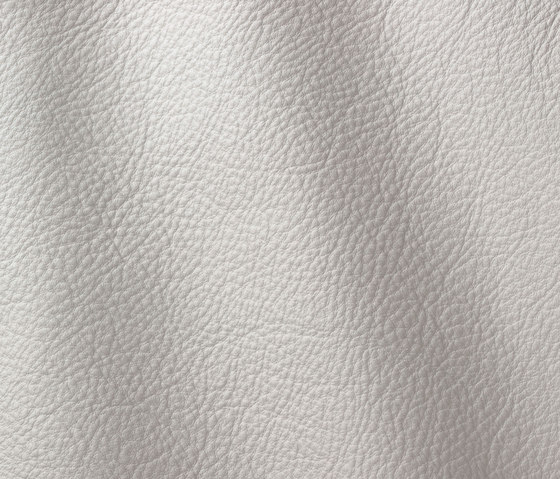 Prescott 271 plaster | Natural leather | Gruppo Mastrotto