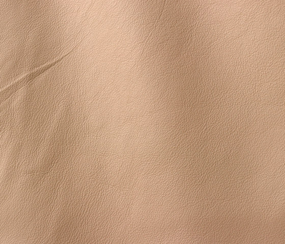 Linea 629 stone | Natural leather | Gruppo Mastrotto