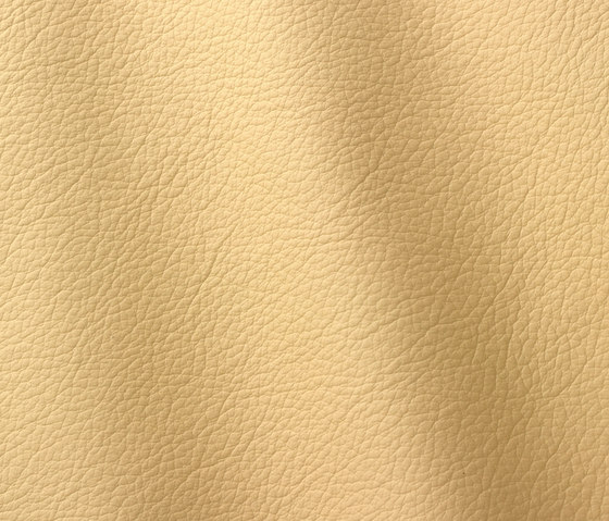 Ocean 428 vanilla | Natural leather | Gruppo Mastrotto
