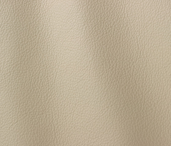 Ocean 447 wool | Natural leather | Gruppo Mastrotto