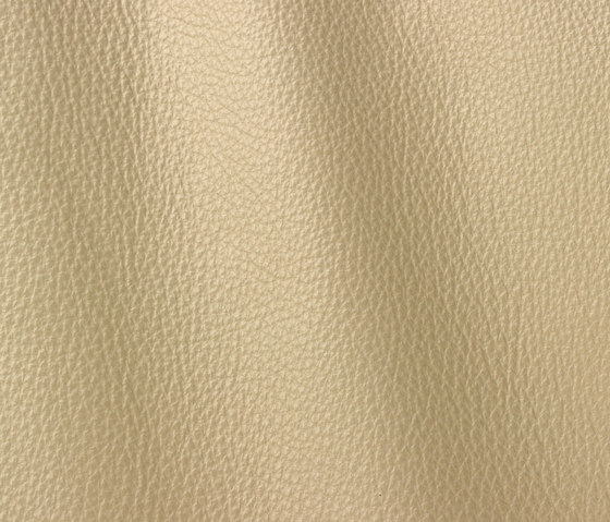 Vogue 6026 ash | Natural leather | Gruppo Mastrotto