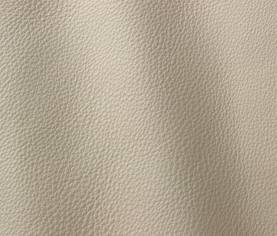 Vogue 6002 butterfly | Natural leather | Gruppo Mastrotto