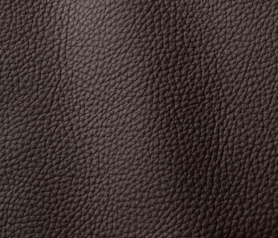 Atlantic 517 cioccolato | Natural leather | Gruppo Mastrotto