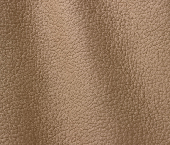 Atlantic 523 sable | Natural leather | Gruppo Mastrotto