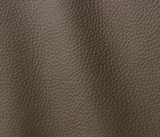 Atlantic 526 sienna | Natural leather | Gruppo Mastrotto