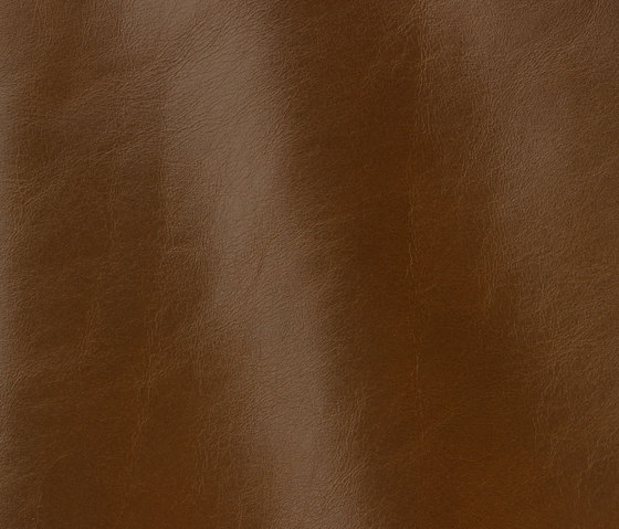Classic 810 baobab | Natural leather | Gruppo Mastrotto