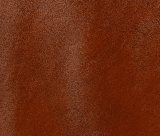 Classic 805 chestnut | Natural leather | Gruppo Mastrotto