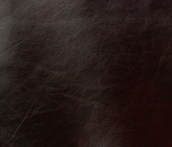 Classic 806 dark brown | Natural leather | Gruppo Mastrotto